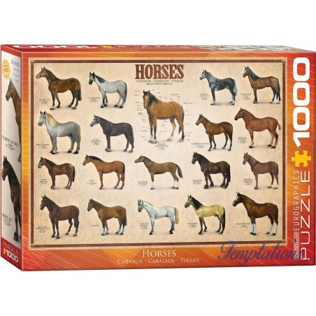 Puzzle 1000 pièces- Chevaux– Eurographics