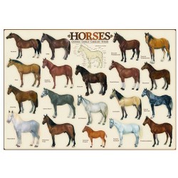 Puzzle 1000 pièces- Chevaux– Eurographics