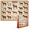 Puzzle 1000 pièces- Chevaux– Eurographics