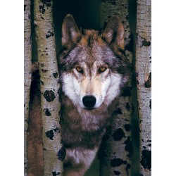 Puzzle 1000 pièces-  Loup gris Eurographics