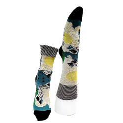 Chaussettes femme motifs...