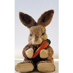 Lapin avec carotte