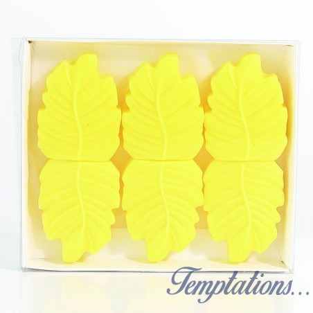 6 Cires Sorbet citron/Lemon sorbet- Woodbridge - Collection Signature