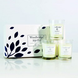 Coffret 3 bougies brume Océanique- Woodbridge Collection Signature