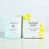 Bougie parfumée Sorbet Citron/Lemon Sorbet 310g- Woodbridge Collection Signature