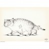 Carte postale "Chat bagarreur  " Albert Dubout