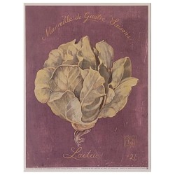 Image "Vintage Lettuce -...