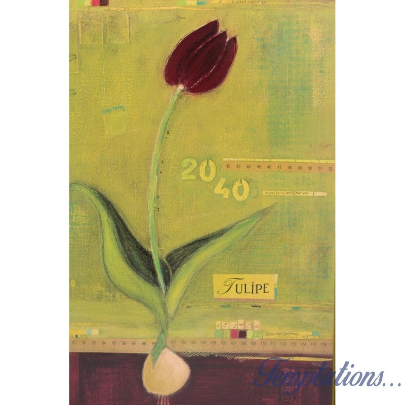 Image " Tulip Whimsy" Sandrine Gayet