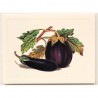 Carte Rossi "Aubergines"