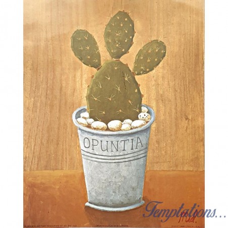 Image "Opuntia cactus "M. Gordon