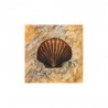 Image "Scallop" Arnie Fisk