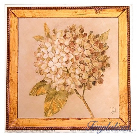 Carte simple "Hydrangea floret détail" Lauren Hamilton