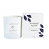 Bougie parfumée Mûres Sauvages/Wild Blackberries 310g - Woodbridge Collection Signature