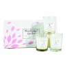 Coffret 3 bougies Marguerites & Papillons- Woodbridge Collection Signature