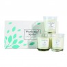 Coffret 3 bougies Pluie de Genévrier- Woodbridge Collection Signature