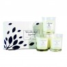 Coffret 3 bougies brume Océanique- Woodbridge Collection Signature