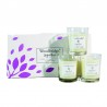 Coffret 3 bougies passion & Mangue - Woodbridge Collection Signature