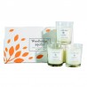 Coffret 3 bougies Fleur de Pêcher & Vanille- Woodbridge Collection Signature