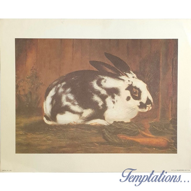 Image" Lapin Rustique"