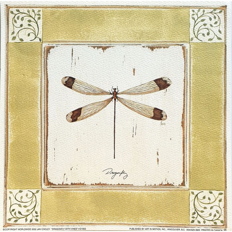 Image "Dragonfly Whith Vines " Jan Cooley