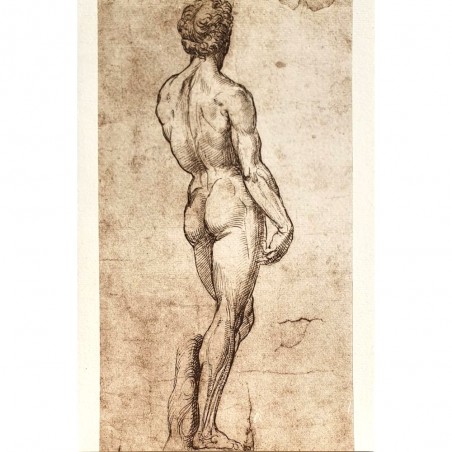 Carte double Rossi " Etude de nu" Raffaello Sanzio