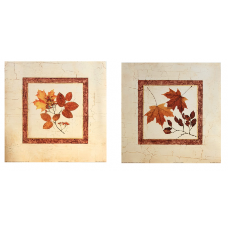 Lot de 2 images " Leaf study I et II" - T.Chaden