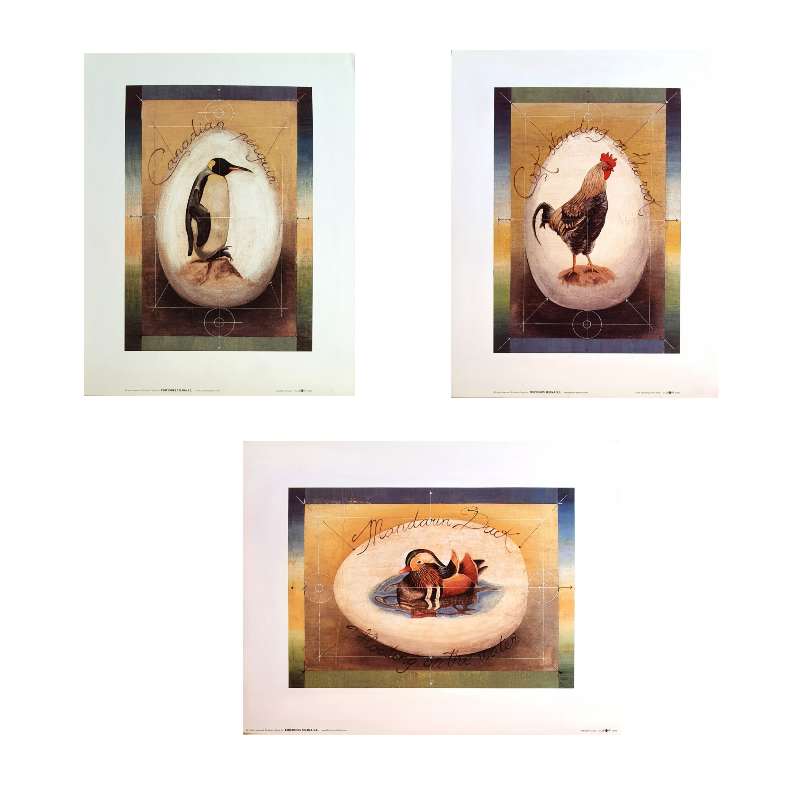 Lot de 3 images « Pingouin, Coq, Canard »