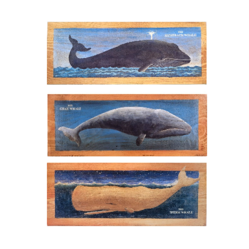 Lot de 3 Images de Baleine