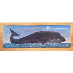 Lot de 3 Images de Baleine