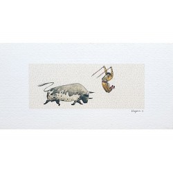 Lot 4 cartes format paysage « Corrida » Virginie Cachau