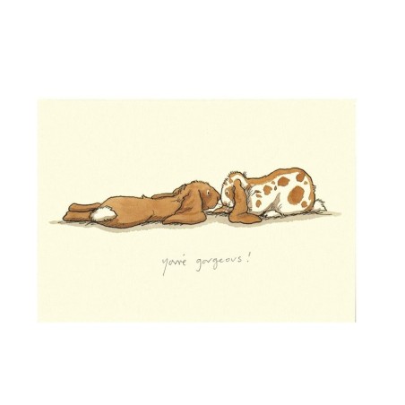 Carte double Anita Jeram "You Are Gorgeous"