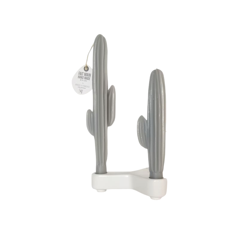 Duo flambeaux cactus gris - Bougie la Francaise