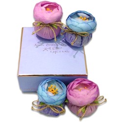 Coffret violet 4 baby...