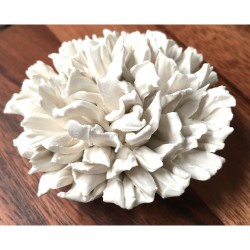 Boîte décorative Nami en bois ANOQ