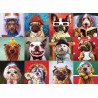 Puzzle 1000 pièces Chiens droles