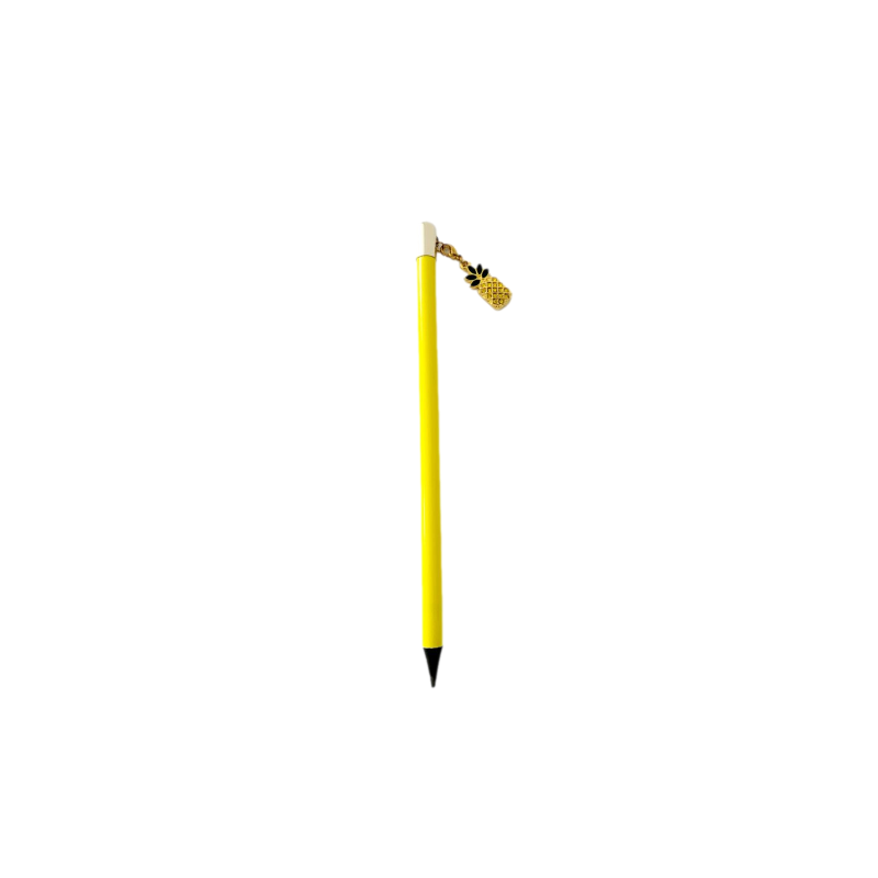 Crayon avec charme ananas