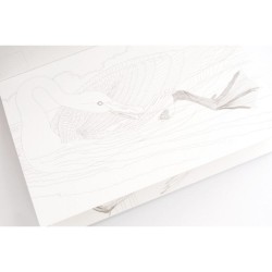 Carnet de cartes postal aquarelle  Birds of America