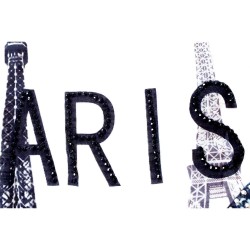 T-shirt Paris "Les roses et les strass"