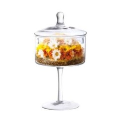 Bonbonnière en verre sur pied