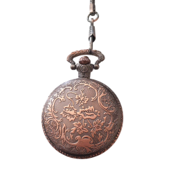 Montre à gousset bronze Paris 4 monuments GM