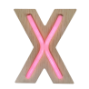 X- LETTRE NÉON