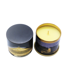 Bougie Tin BlackBerry Absinthe-Illume