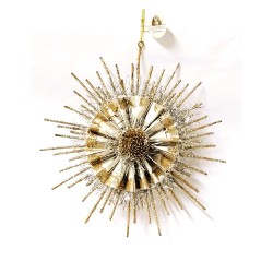 Etoile de Noel - Goodwill