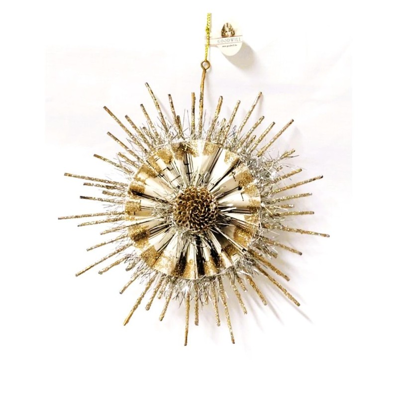 Etoile de Noel - Goodwill