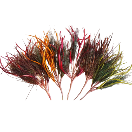 Décoration plumes colorées - Goodwill