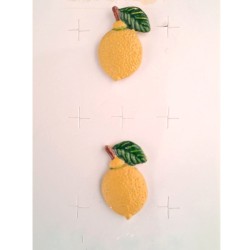 Bouton JHB - 2 x Citron
