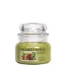 Petite Jarre Tomato Vine - Village Candle