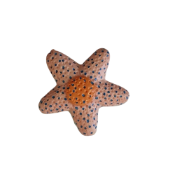 Bouton DMC - Etoile de mer