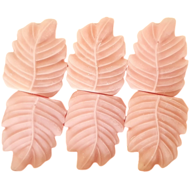 6 Cires Marguerites & Papillons/ Butterflies on Daisies Woodbridge Collection Signature