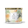 Bougie 3 mèches Lime Basil & Mandarin -Woodbridge